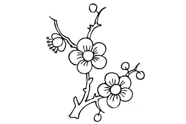 梅花简笔画