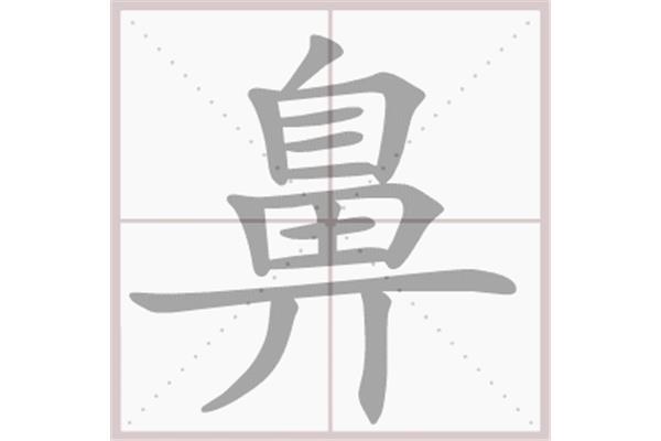 鼻的笔顺