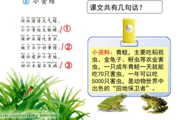 保护青蛙的资料