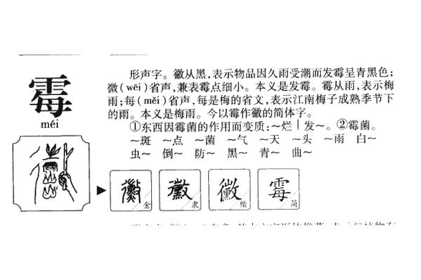 雨怎么读
