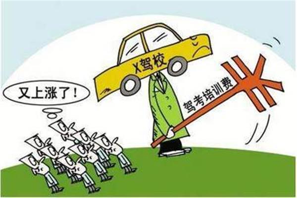 考驾照需多少钱