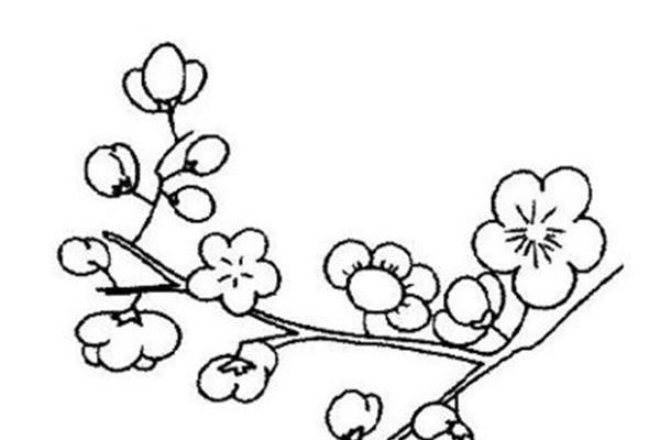 梅花简笔画