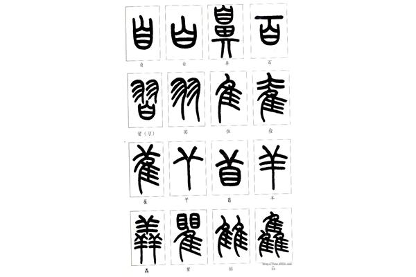 鼻的笔顺