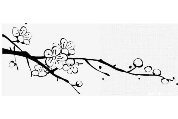 梅花简笔画