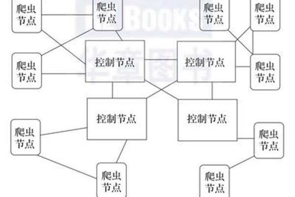 爬是什么结构