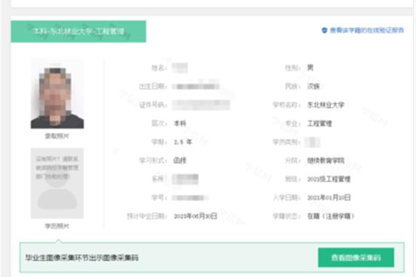 证件查询