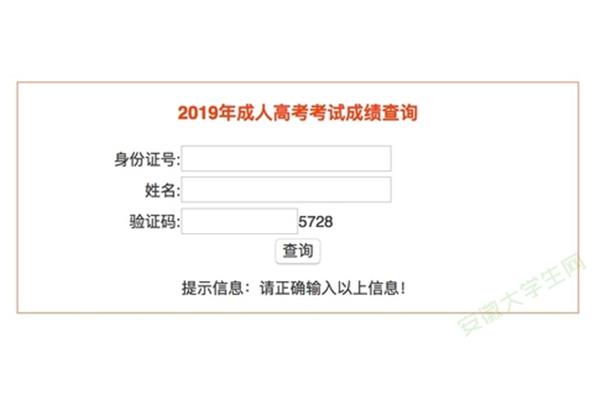安徽招生考试成绩查询