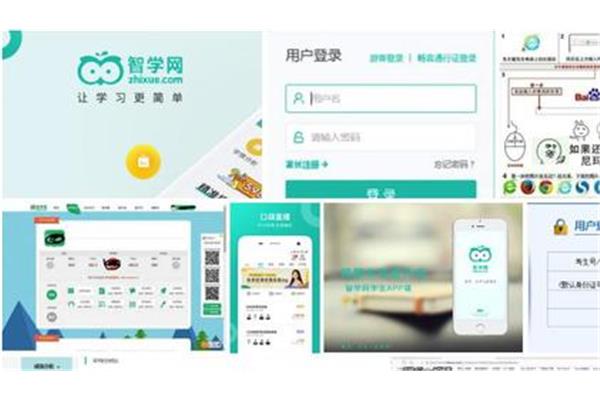 智学网查分数