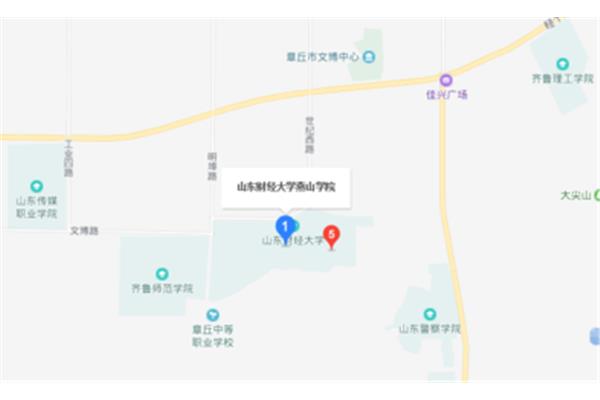 山东财经燕山学院