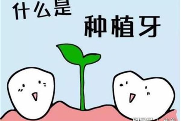 咀嚼是什么意思