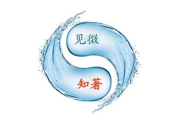 见微知著的著是什么意思