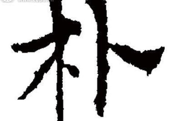 朴怎么读