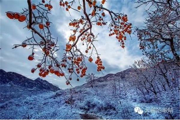 秋霜冬雪
