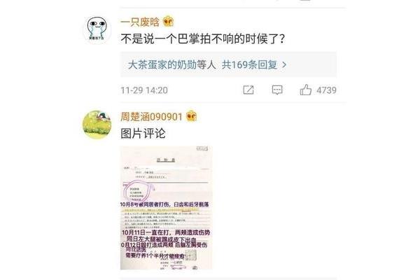 怼怎么读