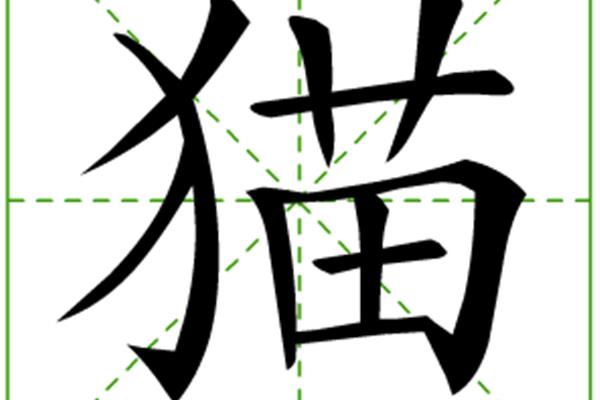 猫的笔顺