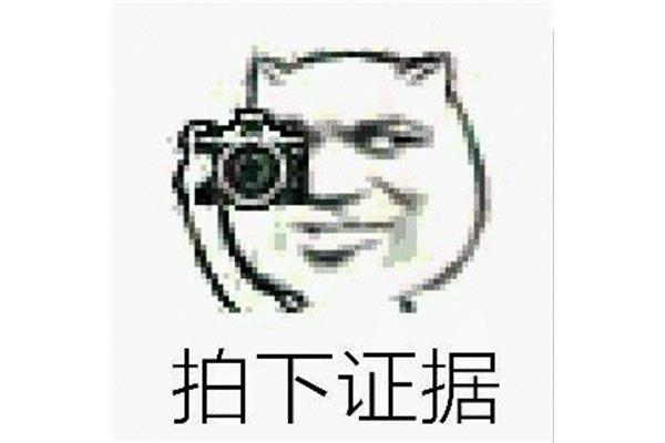 拍照表情