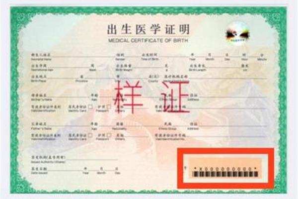 出生医学证明样本