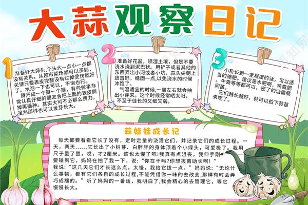 观察大蒜生长过程日记