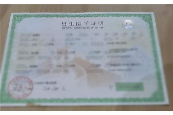出生医学证明样本