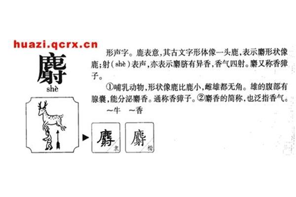 鹿的部首是什么偏旁
