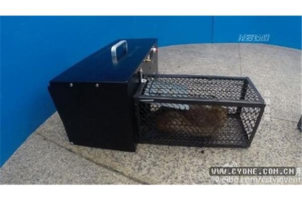 我爱发明捕鼠器