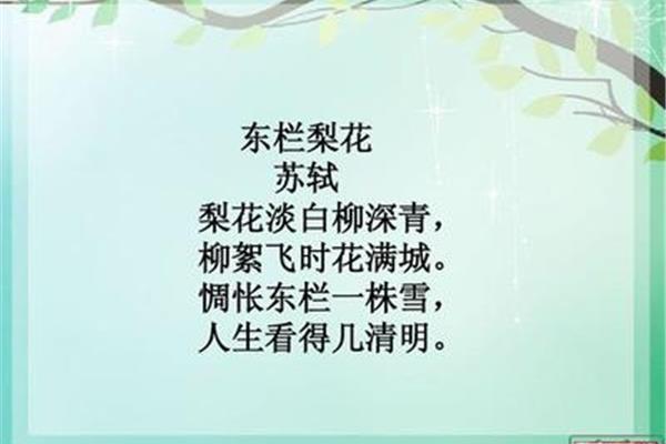 惆怅的拼音
