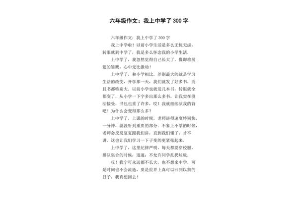 我上中学了作文