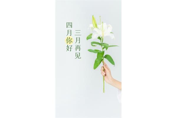 三月你好图片唯美