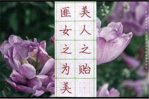 贻怎么读