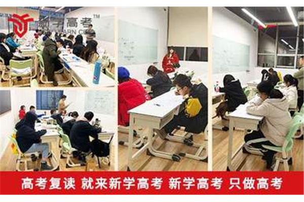 高三复读培训