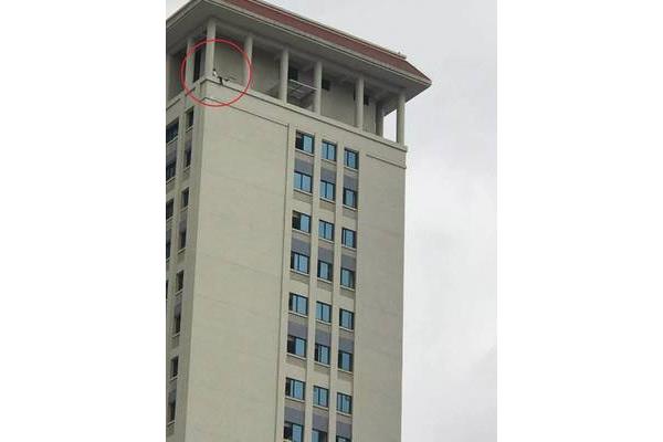 红岭中学