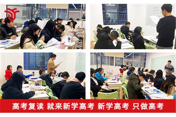 高三复读培训
