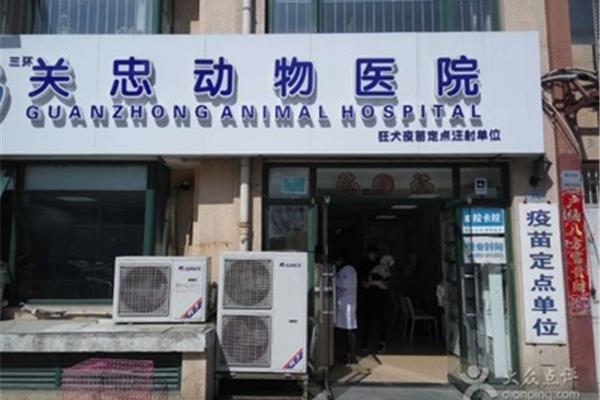 北京宠物医院