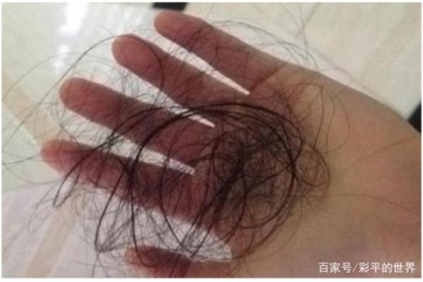什么的毛发