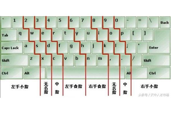学习五笔打字