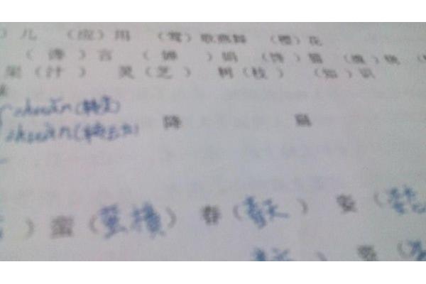 扁的多音字组词
