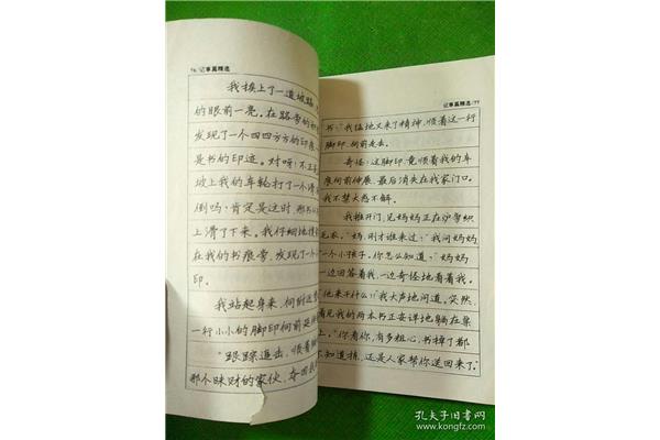 记事篇作文