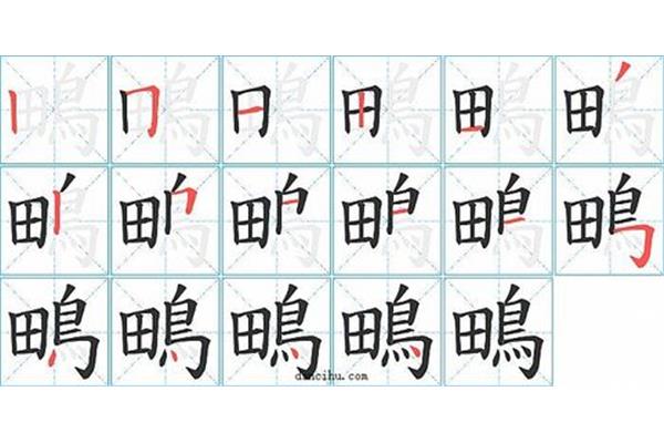 田的笔顺怎么写