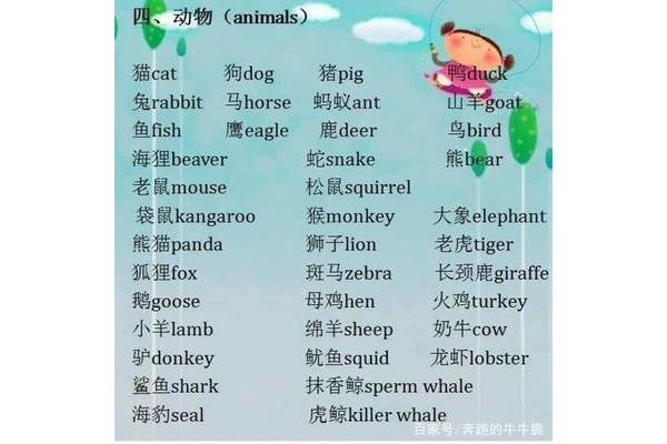 兔子的英文单词