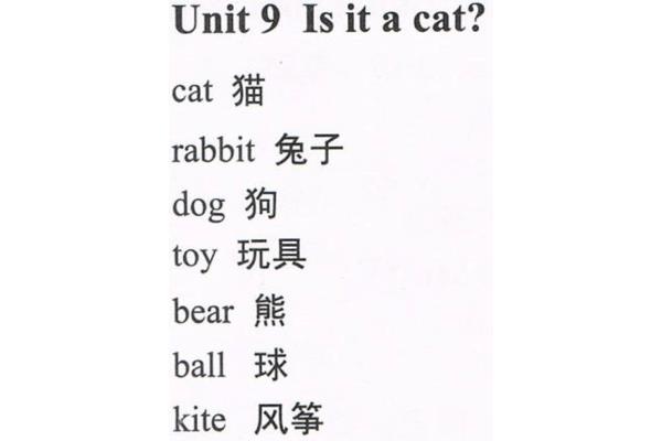 兔子的英文单词