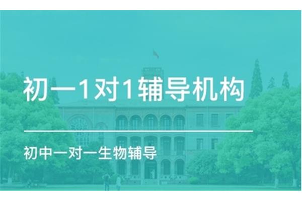 合肥初中一对一