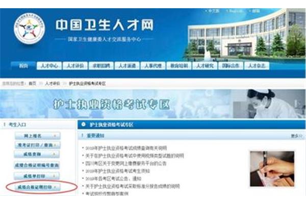 人民卫生人才网
