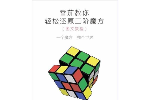 魔方课程网课初级