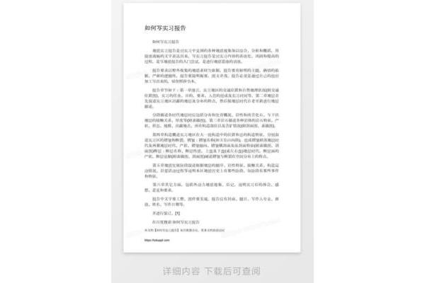 实践报告怎么写