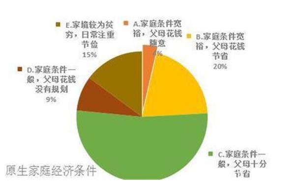 家庭经济情况