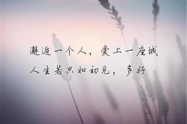 沉默也是爱