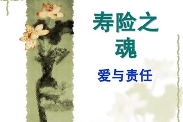 爱与责任