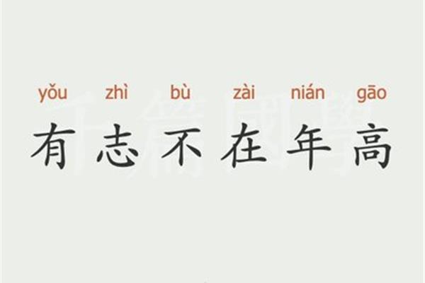 有字组词