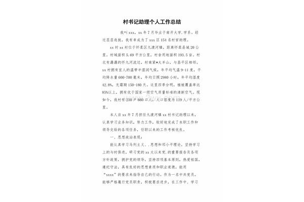 村工作总结