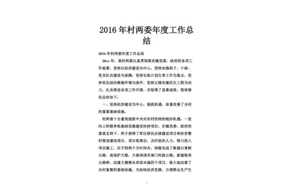 村工作总结